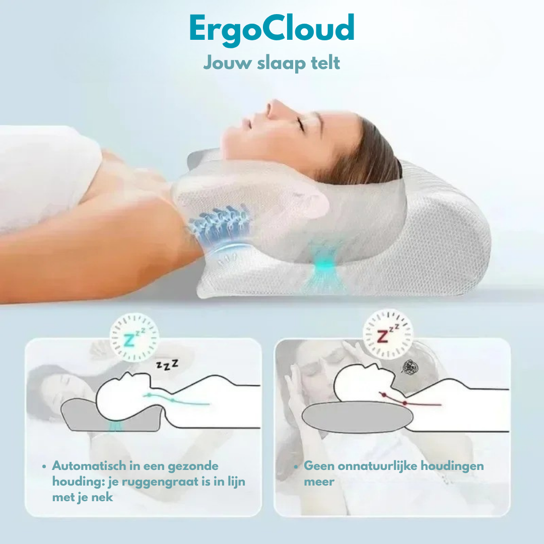 ErgoCloud