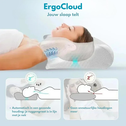 ErgoCloud