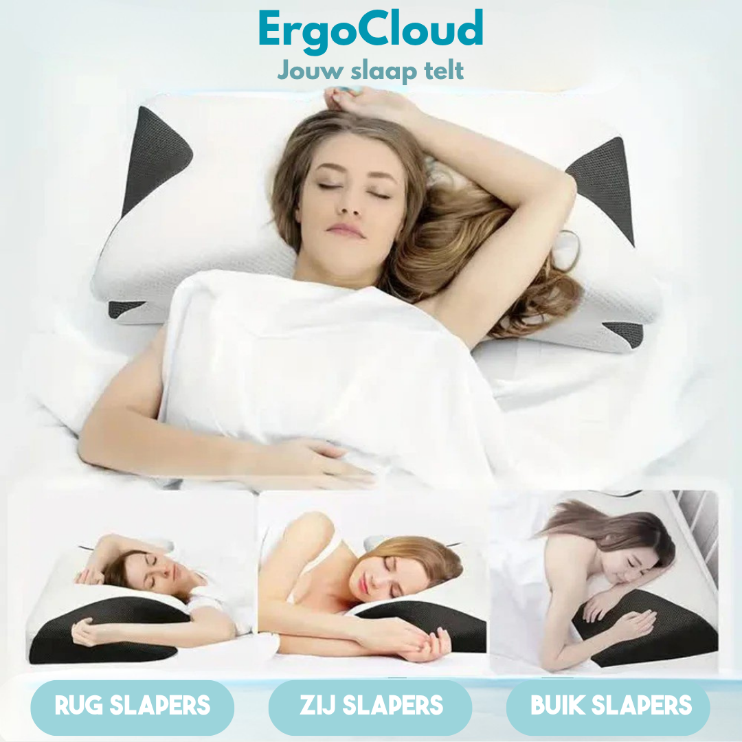 ErgoCloud